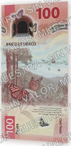100 pesos, familia G, reverso