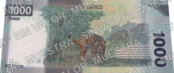 1,000 pesos, familia G, reverso