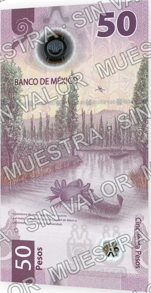 50 pesos, familia G, reverso