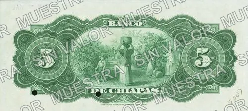 5 pesos, Banco de Chiapas (M65), reverso (M65s $5 Banco de Chiapas specimen)