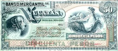 50 pesos, Banco Mercantil de Yucatán (M543), anverso (M543s $50 Banco Mercantil de Yucatán specimen)